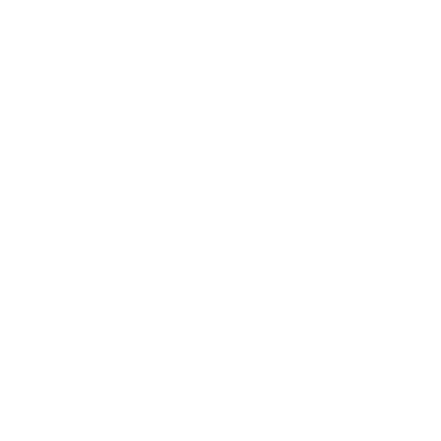 Borzi